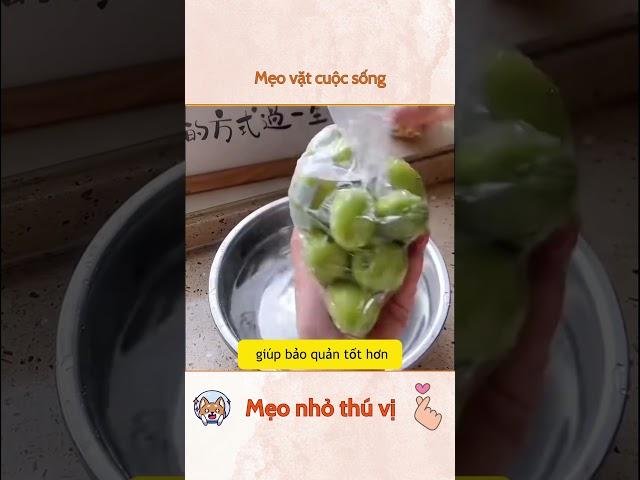 Mẹo vặt cuộc sống #meonhothuvi