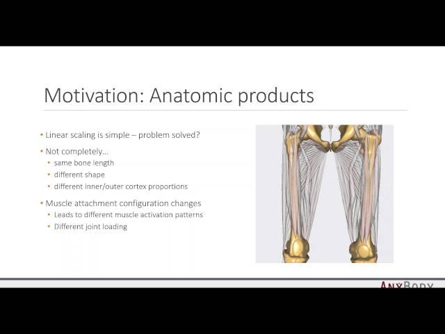 [Webcast] - Personalize your musculoskeletal models based on medical image data