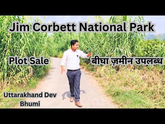 Jim Corbett National Park | Bigha Zameen available | plot sale #realestate #uttarakhand