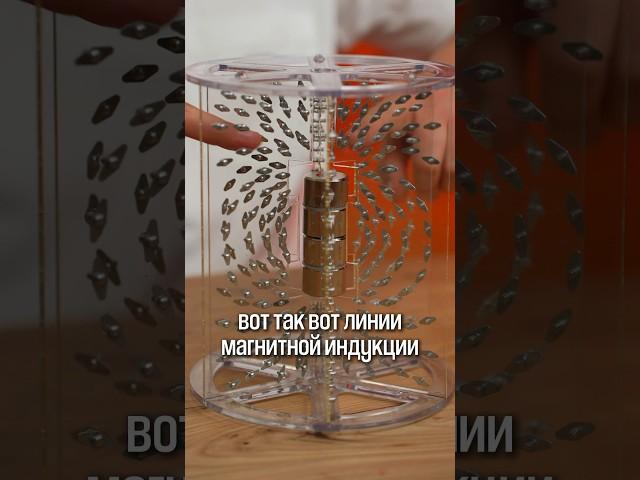 Магнитная индукция #физика