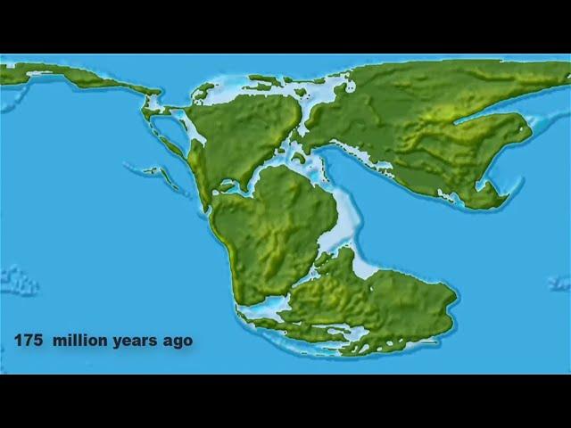 Continental Drift from Pangea to Today