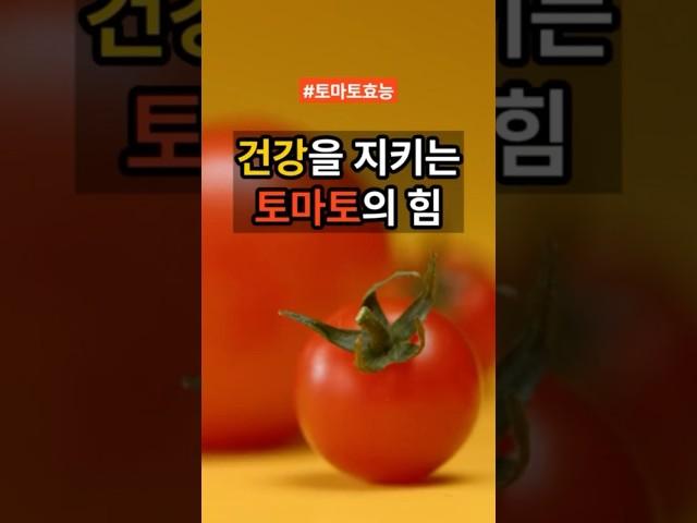 #토마토 #토마토건강 #매일먹으면 #건강 #건강정보 #건강관리 #다이어트