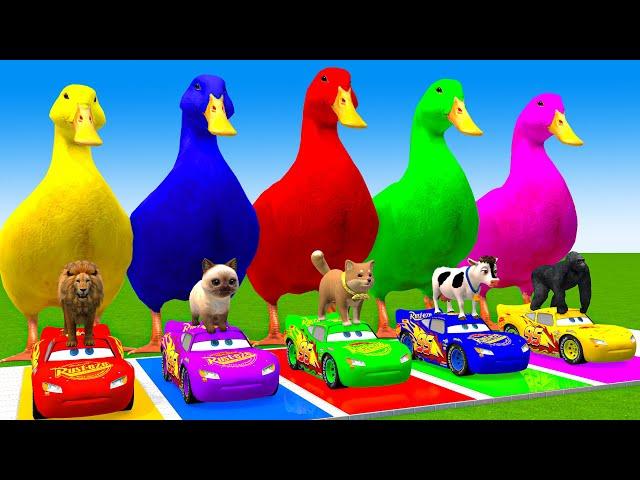 5 Giant Duck Cartoon,Cow,Elephant,Giraffe,Tiger,Lion, Paint Wild Animals Crossing Fountain Animation