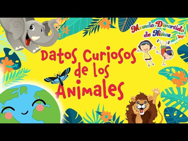 Datos Curiosos de los Animales - Curiosidades de Animales (Videos Educativos para Niños)