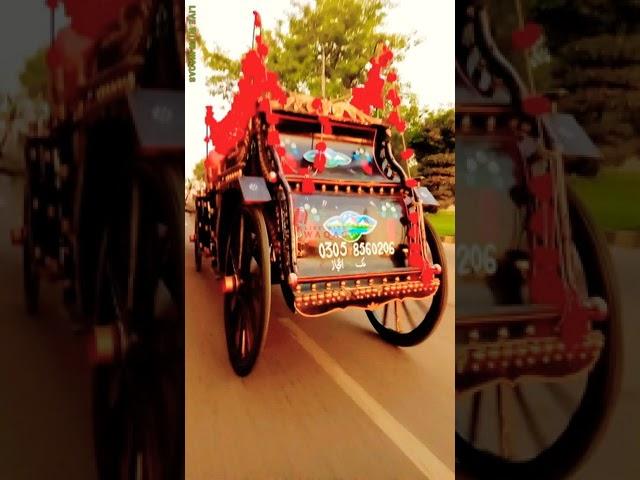 Lahori Baggi|Lahore Ishq Hai|Live With Waqas|WAQAS AHMAD|