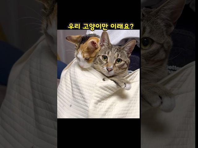몇살되면 혼자 자나요?