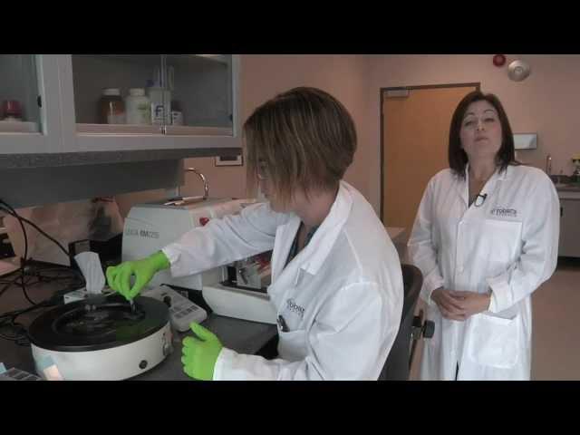 Robarts Virtual Tour - Molecular Pathology