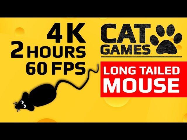 CAT GAMES -  LONG TAILED MOUSE (ENTERTAINMENT VIDEO FOR CATS TO WATCH) 4K 60FPS 2 HOURS