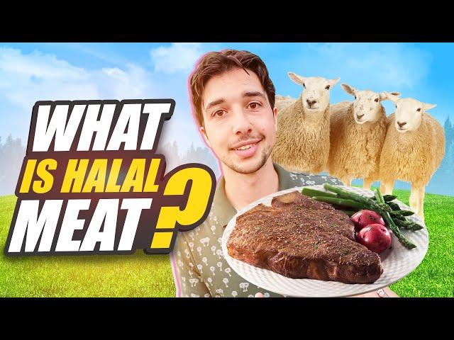 Whats does HALAL meat mean ?