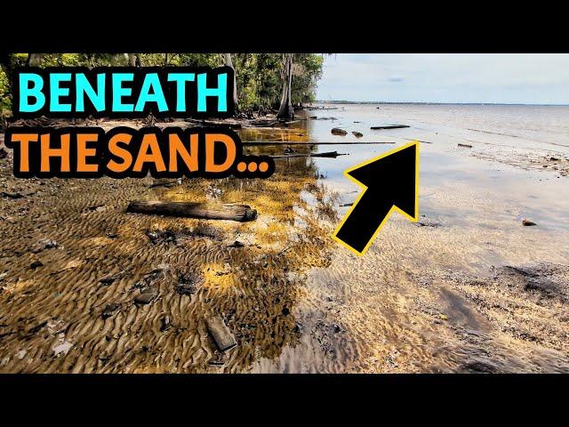 MASSIVE Low Tide Exposed a Hidden Goldmine of Treasure... Our BEST HUNT This Year?!