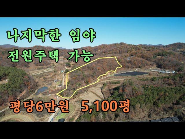 천안 아산 토지매매/나지막한 임야/평당6만원 5,100평