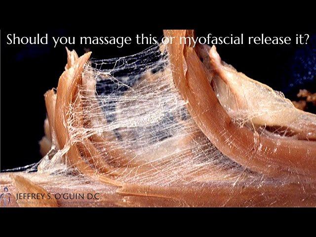 What is myofascial release | What's the difference between myofascial release vs. massage