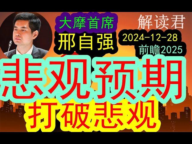 【2025年度前瞻】大摩首席邢自强谈论企业家和投资人深度的悲观预期！2025或将打破这种悲观！！（2024-12-28）新的政策刺激即将出台在路上，将会打破过去的路径#投行  #摩根士丹利