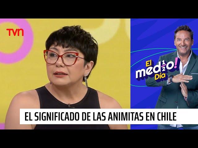 Vanessa Daroch nos explica el significado espiritual de las animitas en Chile | El medio día