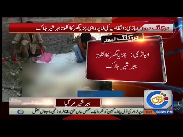 Lion is killed in Vehari Zoo