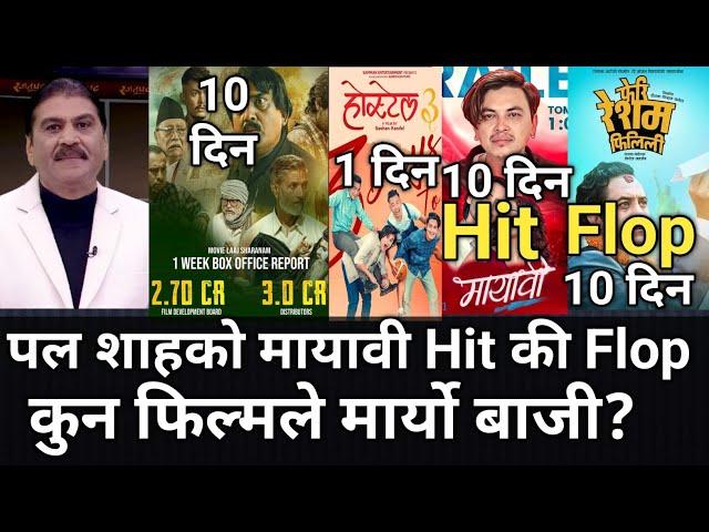 पल शाहको मायावी Hit कि Flop?कुन फिल्मले मार्यो बाजी?Box Office Collection Mayavi  Laaj Saram Hostel