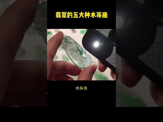 翡翠知识，五大种水翡翠等级你都知道吗 #翡翠 #jade #jadeite #缅甸翡翠 #翡翠直播 #翡翠等级 #翡翠知识