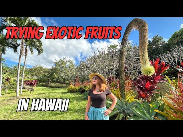 Discover Exotic Fruit in Hawaii