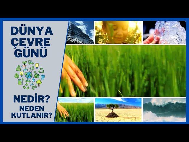 ÇEVRE GÜNÜ NEDİR? NEDEN KUTLANIR? | ÖNEMİ NEDİR? | DÜNYA ÇEVRE GÜNÜ | OKUL ÖNCESİ EĞİTİM