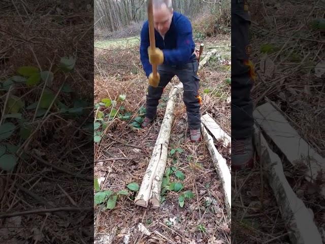 Splitting Firewood in Long Lengths