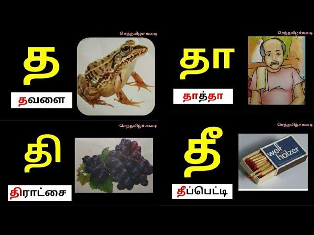 தமிழ்|உயிர் மெய் எழுத்துக்கள்|த தா தி தீ வரிசை சொற்கள்/செந்தமிழ்ச்சுவடி