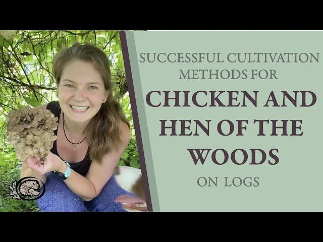 Successful Cultivation Methods for Hen and Chicken of the Woods on Logs