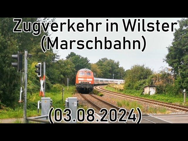 Zugverkehr in Wilster | 218er, 245er, u. 2 Sonderzüge [DAMPFLOK 012 104-6]