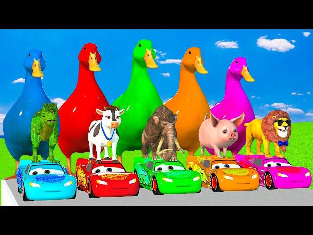 5 Giant Duck Cartoon Cow Elephant Tiger Lion Dinosaur Paint Wild Animals Crossing Fountain Animation