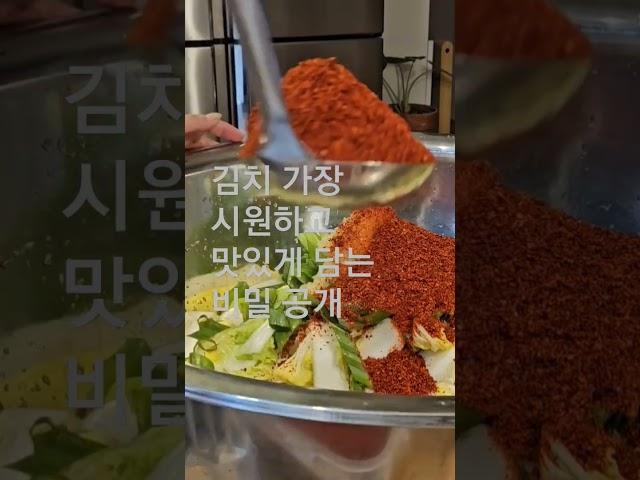김치 가장 간단하면서  맛있게 담는 비밀 |  재료 최소화 | 배추, 대파(부추),마늘,액젖, 고춧가루,설탕!만 넣어요 #살림일상 #koreanpood #김치담기 #시원한맛