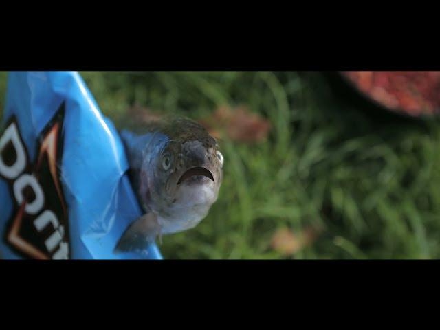 Very funny Superbowl commercial 2015 - Doritos Angler -