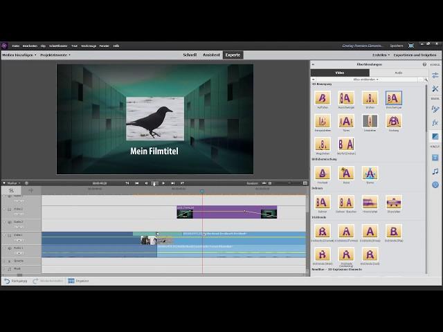 Premiere Elements Erweiterte Funktionen: Korrekturen, zeitabhängige Effekte, Überblendungen,