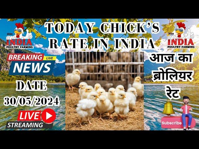 30/05/2024 भारत में आज चूजे का रेट | Chick's Rate In India Today #broiler #poultry #chicks #india