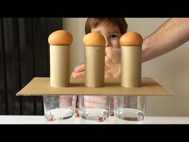 Simple Science Experiments You Can Do With Eggs Before Breakfast