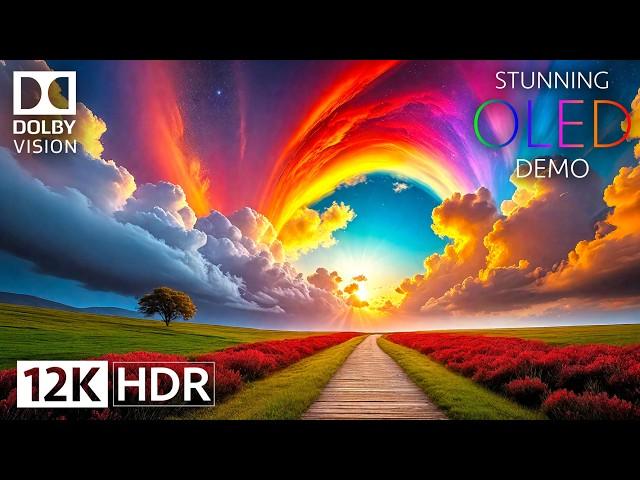 WOW! 12K HDR Video in STUNNING Dolby Vision on OLED!