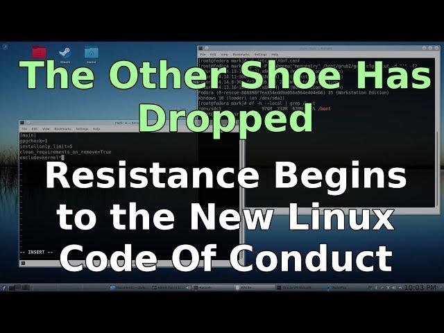 Linux Code of Conduct - The Other Shoe Has Dropped