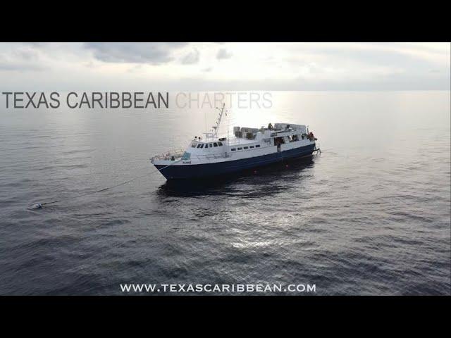 Diving Liveaboard In The Flower Garden Banks National Marine Sanctuary - MV Fling