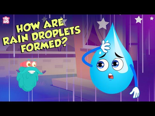 How Are Rain Droplets Formed? | WATER CYCLE | The Dr Binocs Show | Peekaboo Kidz