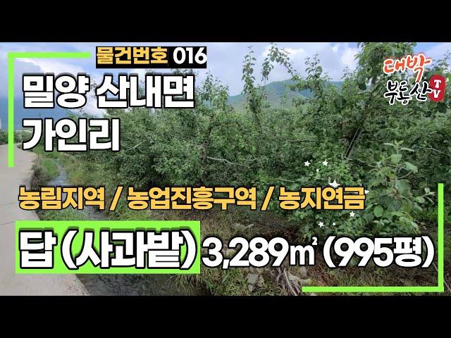 [매물번호 016] 밀양 산내면 토지매매 - 귀농, 귀촌, 농지원부, 농지연금 가능한 가인리 사과밭매매