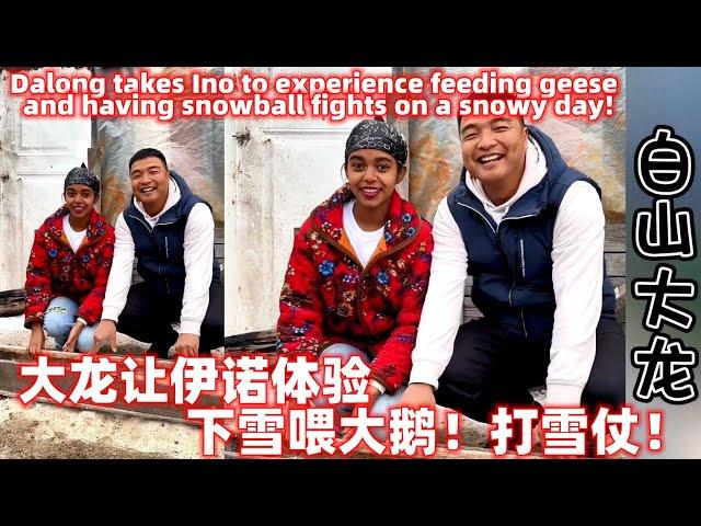 大龙带伊诺体验雪天打雪仗！Dalong takes Ino to experience feeding geese and having snowball fights on a snowy day!