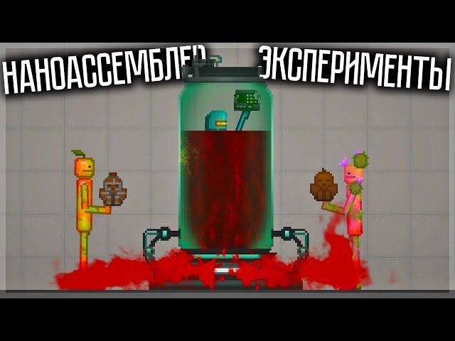 ЧТО МОЖНО ПОЛУЧИТЬ ИЗ НАНОАССЕМБЛЕРА? MELON PLAYGROUND