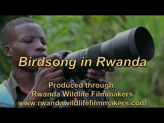 Birdsong in Rwanda