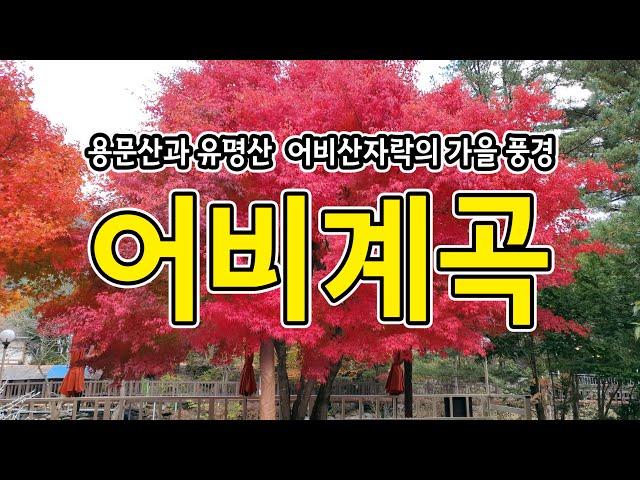 가평의 청정계곡 ’어비계곡‘ 가을 감성을 담다  Gapyeong's Clean Valley, "Eobi Valley," contains autumn emotions.