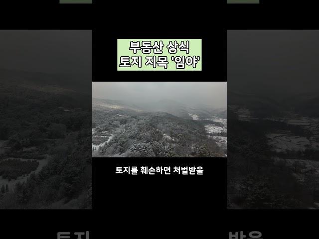 부동산 상식 토지 지목 '임야'에 대해