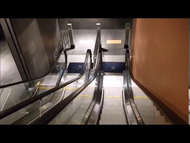 노보텔 앰배서더 강남 GYG 에스컬레이터(ESCALATOR) 시승기