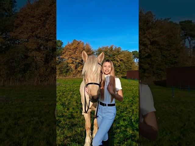 WHICH OUTFIT IS YOUR FAVOURITE?  | @MountainHorse AD