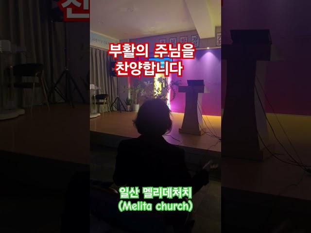일산 멜리데처치(Melita church) 부활의 주님을 찬양합니다