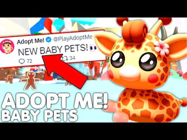 *NEW* BABY PETS UPDATE! ADOPT ME NEW BABY GIRAFFE WINTER PET IDEAS! (CONCEPTS!) ROBLOX