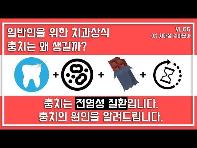 치과상식 | 충치는 전염성 질환입니다. 충치의 원인을 알려드리겠습니다. | VLOG 치대생 브이로그_치아모아|치과