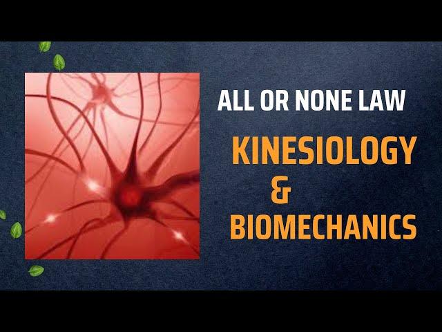 All or None Law || kinesiology and Biomechanics || Physical Education