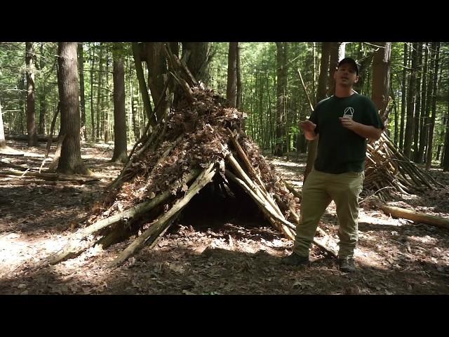 Shelter Building!